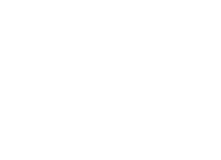 LVI Global Logo